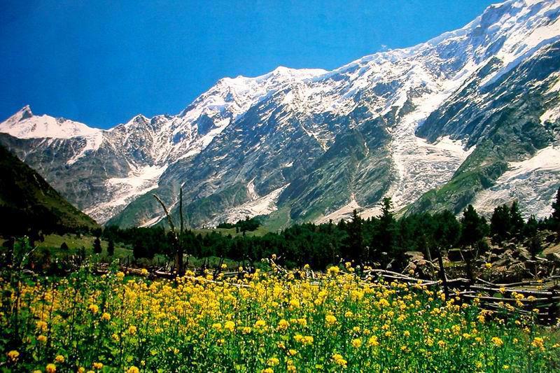 Naltar Valley Gilgit Baltistan Pakistanh