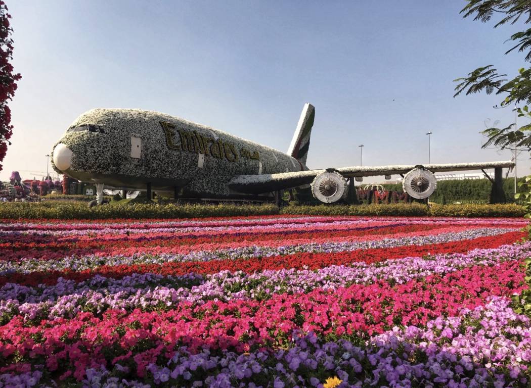 Emirates Airplane Miracle Garden Dubai