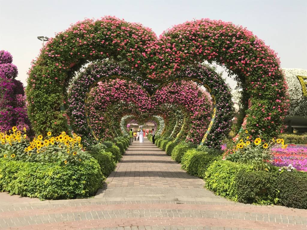 Hearts - Miracle Garden