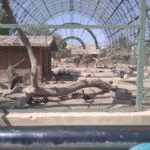 Bahawalpur Punjab Zoo
