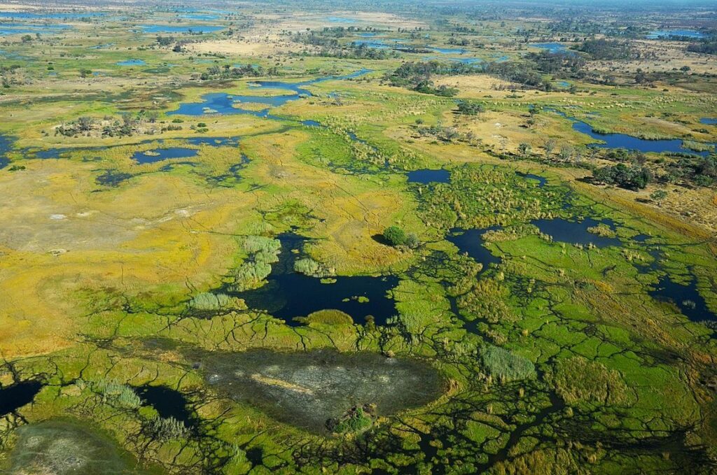 Okavango delta, Botswana