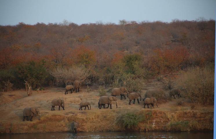 Kruger National Park