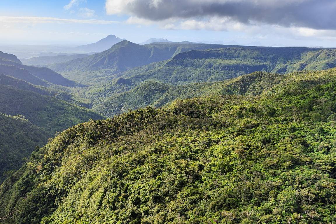 Black River Gorges National Park Mauritius