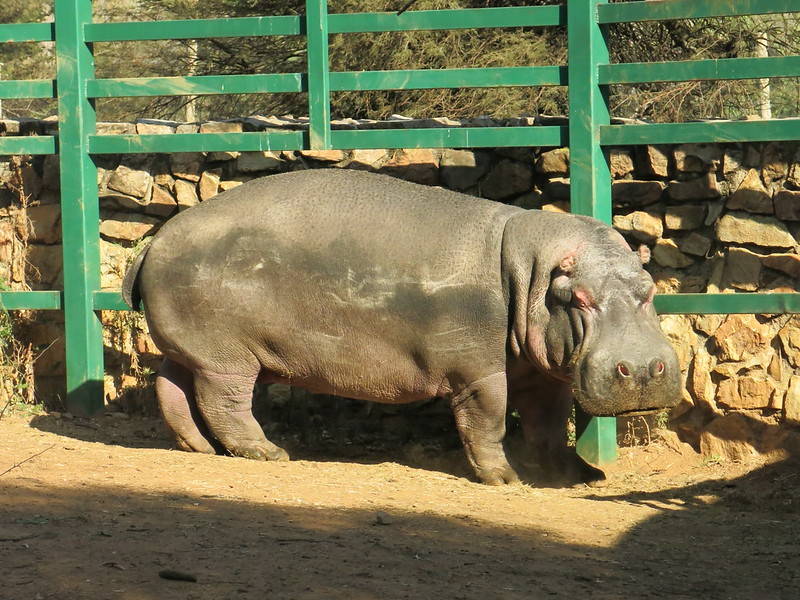 Johannesburg Zoo, South Africa