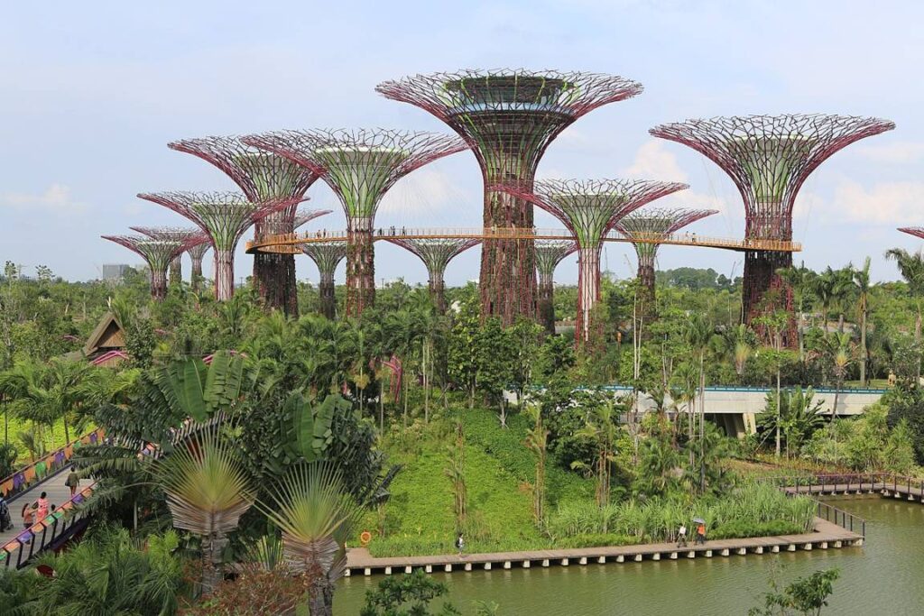 Super tree Grove, Gardens by the Bay, Singapore